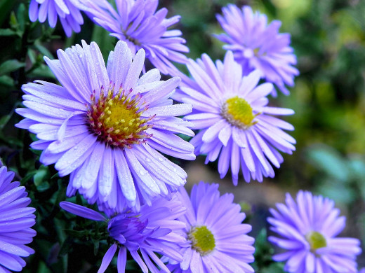 579720 (a): :1600x1200